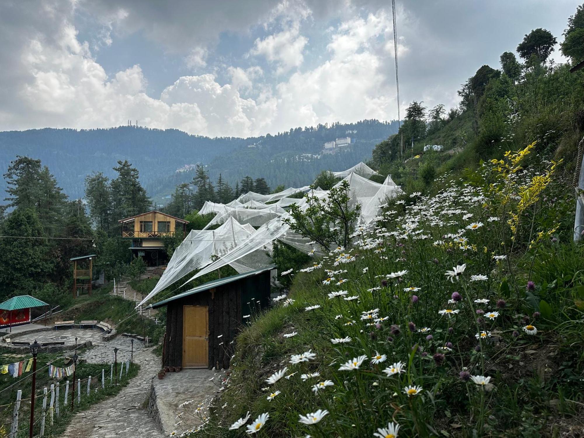 Daak Bangla Retreat Hotel Kufri Exterior foto