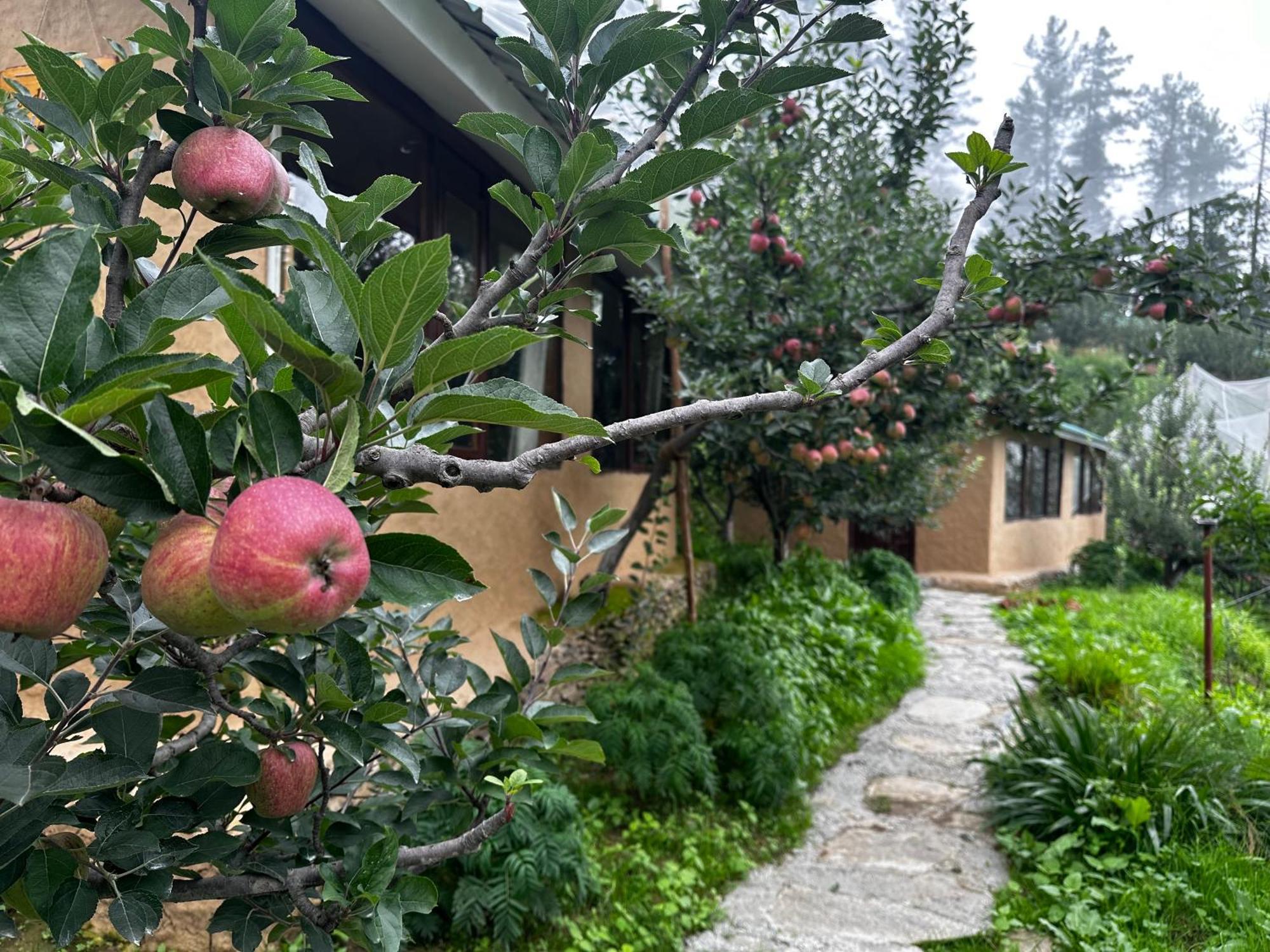 Daak Bangla Retreat Hotel Kufri Exterior foto